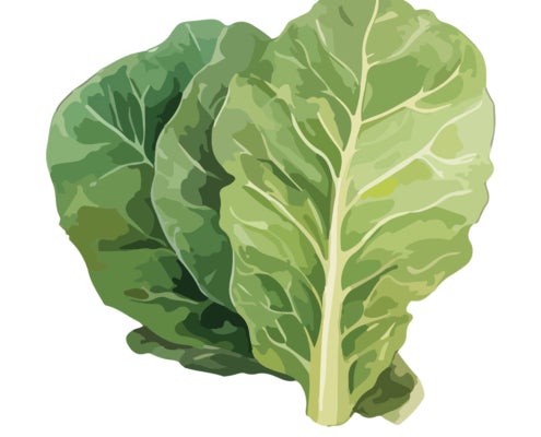 Champion Collard Greens