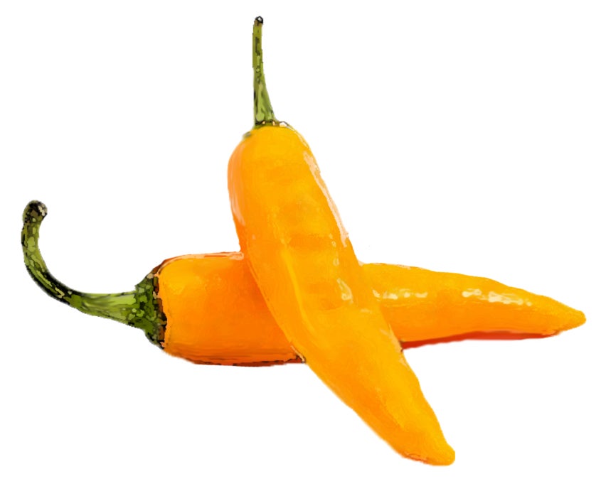 Aji Chinchi Amarillo Hot Pepper