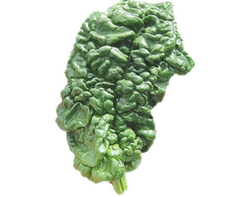 Abundant Bloomsdale Spinach