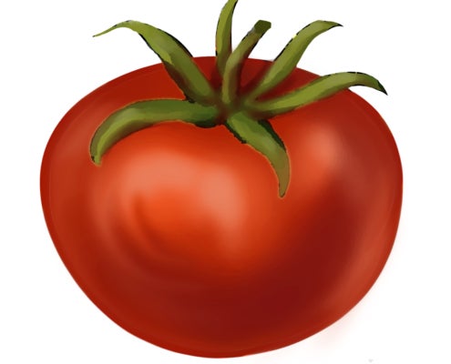 Abraham Lincoln Tomato