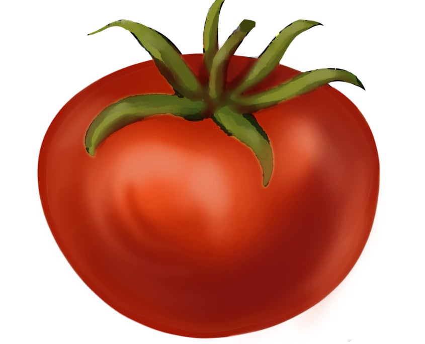 Abraham Lincoln Tomato